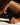 Marc Inbane