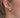Heart Of Gold Earrings