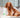 Dog Shampoo