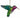 Green/Purple Hummingbird